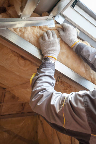 Best Insulation Installation Services in Sheridan, WY