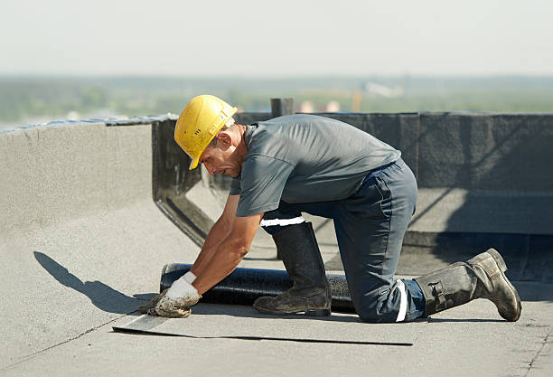 Best Insulation Maintenance and Repair in Sheridan, WY