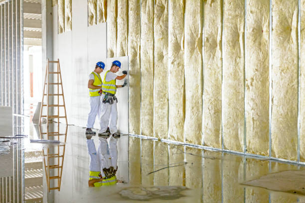 Best Residential Insulation in Sheridan, WY